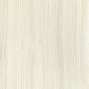 311-drevo-magnolia 311-drevo-magnolia